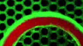 fiery redhead milf mandy rhea moans for rome major's backdoor creampie