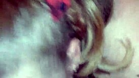 Intriguing timestamp hides secret 2017 moment