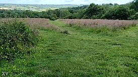 This naughty housewife in the woods orgasms hard during homemade amateur outdoor forest fun in nature