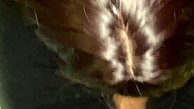 roommate's fat ass sucks my cock deep and swallows rent cum 😈💦