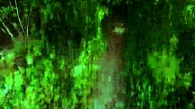 naughty milf bent over for risky public park pounding dirty!!