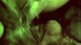 Vintage shadows hide hairy lesbian threesome cravings