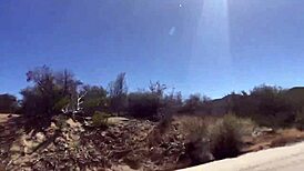 Fucking Wild Among Towering Sequoias!