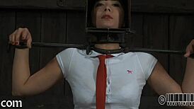 leather pet kneels ready for your firm guiding hand