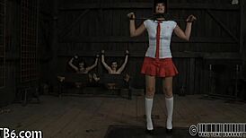 leather pet kneels ready for your firm guiding hand