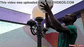 a massive black cock barebacks ts pamela lenvisk's ass till she cums hard