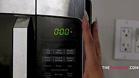 imagine the office where everyone fucks freely at work