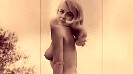 Dark Lantern Entertainment Presents Vintage Retro Collection