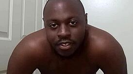 learning clean bathroom use from pet dog avoids anus mess everywhere