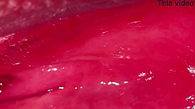 virgin japanese girlfriend proves her shaved wet pussy purity on camera begging worldwide eyes for new year deflowering