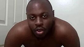 learning clean bathroom use from pet dog avoids anus mess everywhere