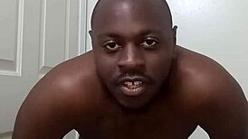 learning clean bathroom use from pet dog avoids anus mess everywhere