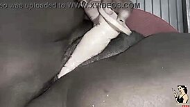 fat black bbw mommy's huge pussy stretched by big black cock dildo in trailer trash hardcore!