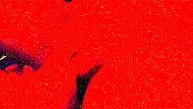 Amateur BBW MILF deepthroats cock like pro close-up