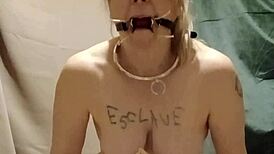 i'm your chained french slave maid flashing tits outdoors masturbating with dildo and clips to orgasm