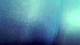 Fat Ass Dawn Teases in Tight Leggings with Epic Orgasm Denial Worship!