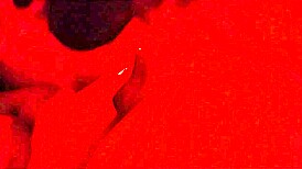 Amateur BBW MILF deepthroats cock like pro close-up