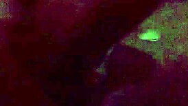 Retro blue films tease forbidden thrills from the vault