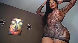 latina shemale with tattoos strokes and teases in 2022 homemade clip