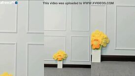 Korean cutie dances sexy showing off her big tits