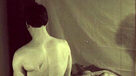 vintage lantern show unveils hairy beaver secrets from 19th century diaries