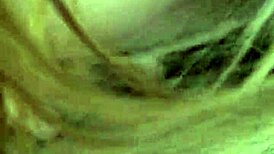 yo this cheating latina thot slurps my dick deep in the car damn