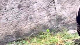 PATRICINHA WITH PINK PUSSY HIKES HILL CRAVING WILD OUTDOOR FUCK!!