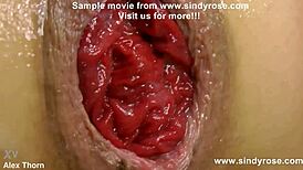 sindy rose takes extreme anal fisting prolapse on kitchen table