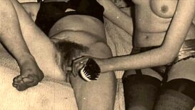 vintage lantern show unveils hairy beaver secrets from 19th century diaries