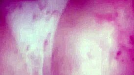 hotwife flaunts her love for big black cocks in anal dp cuckold pounding session