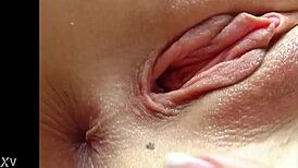 Bambi star stretches tight pussy ass in solo lingerie masturbation