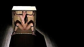 imagine that petite slave bound tight in master's wooden box?
