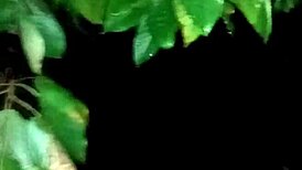 Forest witch in cosplay grabs my cock for outdoor cowgirl ride doggystyle