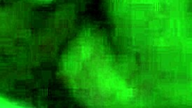 wife sucks lover's cock sloppy close-up while husband at work, real bedroom betrayal facial