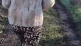 Shopping trip turns grateful with wild store fun and sneaky thrills