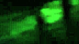 A strange girl wanders the woods horny pisses then sucks me off sloppy