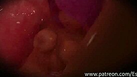 hey giantess eskozs towers over tiny playthings