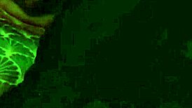 ever wonder what the fisherman's s5 catches in public outdoor spots?