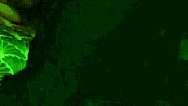 ever wonder what the fisherman's s5 catches in public outdoor spots?