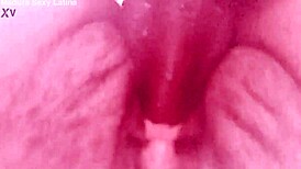 My sexy latina mature pussy and clit drive me wild with endless desire