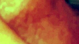 POV chubby latina BBW gives fat cock blowjob licks pussy then takes doggystyle cum in mouth