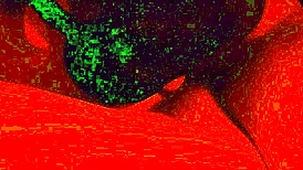 slow intimate blowjob draws you in close