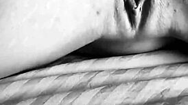 squirting compilation explodes with huge tits big ass latinas