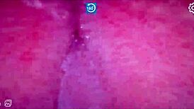 discover the tight hidden pussy nestled deep inside that massive swollen clit with big lips begging to be licked