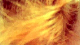 whoa, shy redhead beauty deepthroats huge cock for massive cumshot straight in her mouth, she's stunned! 😲💦