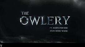 omg chode wang pounds owlery sluts at gobbywarts in sims 4 rule 34!!
