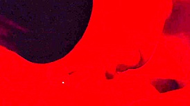 slow intimate blowjob draws you in close