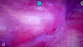 discover the tight hidden pussy nestled deep inside that massive swollen clit with big lips begging to be licked