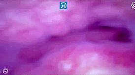 discover the tight hidden pussy nestled deep inside that massive swollen clit with big lips begging to be licked