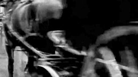 Secret erotic life unfolds in vintage hairy beaver films